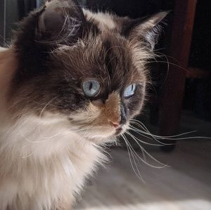 Meet your Posher, Chelsea